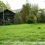 Dog Mowing Lawn