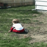 Dogs Knock Over Kid