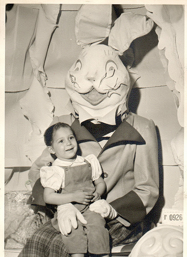 scary bunny pictures
